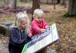 Barrierefreiheit Naturpark10.jpg