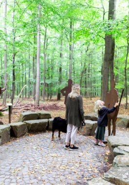 Barrierefreiheit Naturpark5.jpg