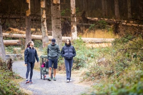 Im Barrierefreien Naturerlebenisraum Wilder Kermeter erwartet Besucher ein gut ausgebautes Wegenetz, dass auch mit Rollstühlen, Kinderwagen und Rollatoren befahrbar ist.