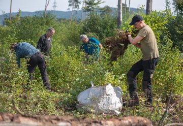 20 Freiwillige mit dem Bergwaldprojekt im Nationalpark Eifel im Naturschutz-Einsatz 