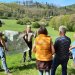 20 Jahre Botschafter der entstehenden Wildnis: „Nationalpark-Gastgeber“ feiern Jubiläum