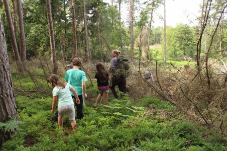 20230712_Wildniscamp_Bartning_Auswahl (98)_komprimiert.jpg