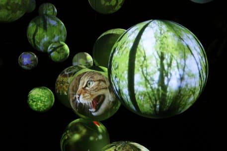 Achim Oerter_NLP-Zentrum Eifel.jpeg