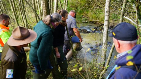 Als „Starthilfe“ für Nachzuchten der Flussperlmuschel wird noch bis Jahresende Kies in den Fuhrtsbach eingebracht. Das Substrat ist essentiell für den Aufwuchs der Muscheln.