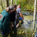 Als „Starthilfe“ für Nachzuchten der Flussperlmuschel wird noch bis Jahresende Kies in den Fuhrtsbach eingebracht. Das Substrat ist essentiell für den Aufwuchs der Muscheln.