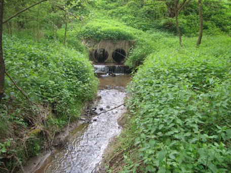 Am Ende von Verrohrungen können sich Abstürze bilden, wenn das im Rohr schnell fließende Wasser beim Austreten Material abschwemmt und den Bach eintieft.