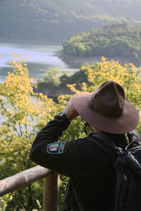 Am Sonntag führen Ranger aus dem Nationalpark Kellerwald-Edersee und Ranger der Nationalparkwacht des Nationalparks Eifel gemeinsam die Hirschley-Route. Foto: G. Priske