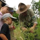 An den Führungen, Naturerlebnisangeboten und umweltpädagogischen Programmen im Nationalpark Eifel nahmen vergangenes Jahr über 25.000 Personen teil. (Quelle: S. Wilden)
