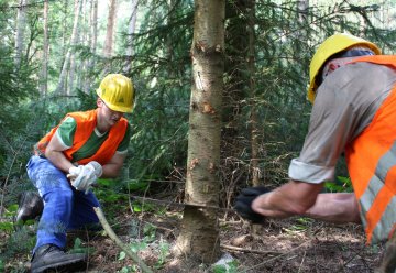 Arbeitsurlaub im Nationalpark Eifel