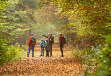 Auch an Wochenenden wieder Rangertouren im Nationalpark Eifel