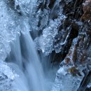 Auch im Winter einen Besuch wert: Der Nationalpark Eifel.