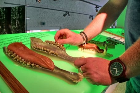 Audio, fragrant and tactile stations make this exhibition an experience for all the senses.