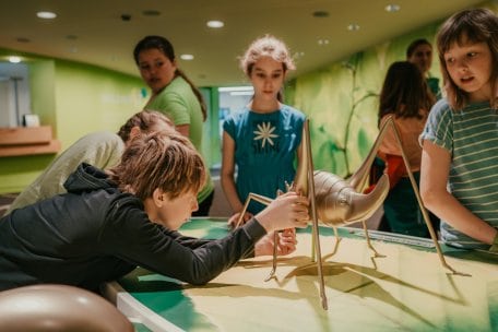 Auf eigene Faust oder mit Führung - drinnen oder auch draußen: Erkunden Sie die Wildnis(t)räume ganz nach Ihren Wünschen.