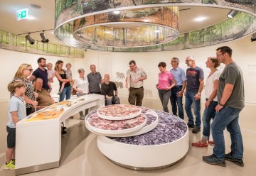 Auf eigene Faust oder mit fachkundiger Begleitung: In den "Wildnis(t)räumen" gibt es viel zu entdecken!