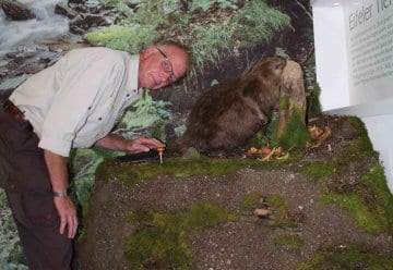 Ausflugstipp: Nationalpark-Tor Rurberg lockt mit neuen Attraktionen