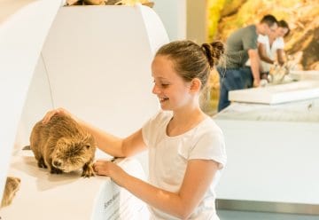 Ausflugstipp für die ganze Familie: Kinderführung in der Erlebnisausstellung „Wildnis(t)räume“ 