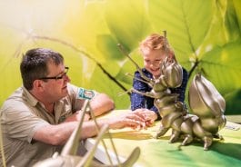 Ausstellung Wildnisträume-2018-002.jpg