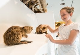 Ausstellung Wildnisträume-2018-026.jpg