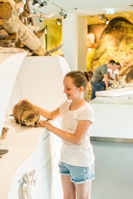 Ausstellung Wildnisträume-2018-027 - Kopie (2).jpg