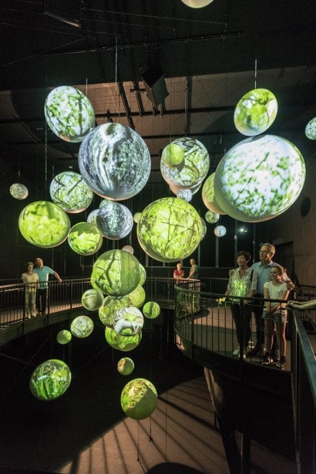 Ausstellung Wildnisträume-2018-054.jpg