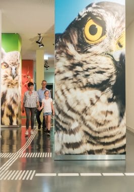 Ausstellung Wildnisträume-2018-060.jpg