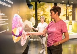 Ausstellung Wildnisträume-2018-148.jpg