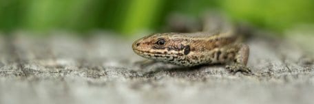 Beispielfoto_Paul Kornacker.jpg