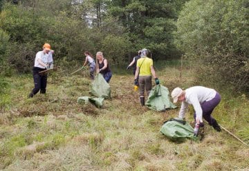 Bergwaldprojekt im Einsatz im Buchen-Nationalpark