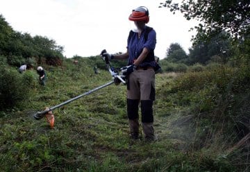 Bergwaldprojekt unterstützt Nationalparkverwaltung Eifel