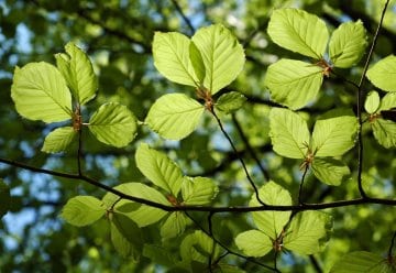 Bewertung der durchgeführten Projekte