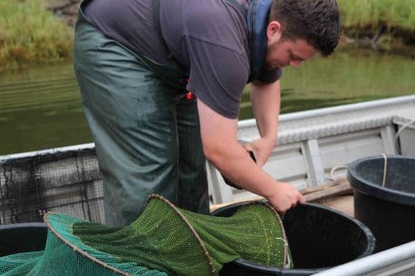 Bild 1: Der Auszubildende Robin Klemp beim Entleeren der Reusen in der Urfttalsperre. (Foto: Nationalparkverwaltung Eifel/A. Simantke)