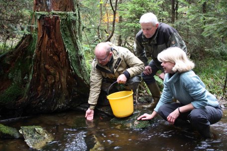 Bild 1: Krebsexperte Dr. Harald Groß setzt im Beisein von Dr. Michael Röös und Anika Poetschke die Tiere an geeigneten Stellen in den Bach.