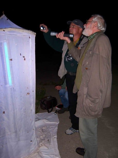 Bild 1: Nachtfaltererfassung in Wollseifen auf der Dreiborner Hochfläche mit Lichtfanganlagen.