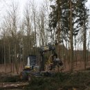 Bild 2: Am Sauerbach auf der Dreiborner Hochfläche werden nicht heimische Bäume wie die Fichte auf einem bis zu zehn Meter breiten Bachuferbereich mit Harvestern entfernt. Foto: Nationalparkverwaltung