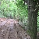 Bild 2: An der Leykaul wird auf 2.000 Quadratmetern die Teerdecke gegen ökologisch verträglicheres Naturmaterial ausgetauscht. E. Jäck