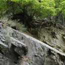 Bild 2: Beim Tag des Geotops wird die spannende Geschichte der Gesteine im Nationalpark Eifel erläutert.