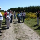 Bild 2: Die Dreiborner Hochfläche mit dem in voller Blüte stehenden Ginster gab den thematischen Auftakt von fünf gebärdensprachlich begleiteten Rangerführungen durch den Nationalpark. Foto: Nationalparkverwaltung