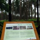 Bild 2: Insgesamt 86 Schilder mit Erläuterungen in Form von Text und Bildfolge zu neun verschiedenen Maßnahmen vermitteln Besuchern den Schutzgebietsgedanken des Nationalparks Eifel. Foto: Nationalparkverwaltung