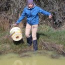 Bild 2: Umweltpraktikantin 2015, Clara Felz, Studentin der Ökologie und Umweltschutz an der Hochschule Zittau/Görlitz, unterstützte das Monitoring zu den Amphibienbeständen im Nationalpark Eifel.