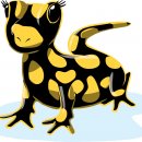 Bild 2: Unser Maskottchen, der Feuersalamander - unterwegs in Wald- und Wasserlebensräumen. Gestaltung: Jürgen Frohn