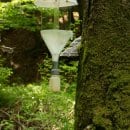 Bild 3: Die Erfassung fliegender Käfer im Nationalpark Eifel wird durch Frank Köhler unter anderem mit Hilfe solcher Hängefallen durchgeführt. (Foto: Dr. A. Pardey)