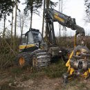 Bild 3: Harvester fällen und entasten die Bäume, deren Stämme abgefahren und verwertet werden. Foto Nationalparkverwaltung