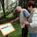 Bild 4: Besucher des Nationalparks Eifel zeigen sich sehr interessiert an den Informationsschildern, hier zum Douglasienringeln. Foto: Nationalparkverwaltung