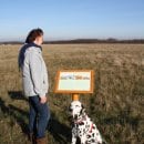 Bild 4: Informationstafeln vor Ort erklären Besuchern die Artenschutzmaßnahme in der Managementzone des Nationalparks für Kreuzkröten. Foto: Nationalparkverwaltung