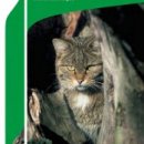 Bild 4: Titelseite Nationalparkplan Band 2