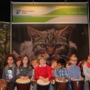 Bild 5: Im Rhythmus der Wildnis trommelten 84 Kinder der Grundschulen Nideggen und Embken. Foto: Nationalparkverwaltung