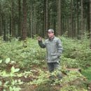 Bild 6: Leiter des Nationalparkbezirks Dedenborn Bernd Dickmann zeigt, wo die jungen Buchen unter den alten Fichten entlang der Nationalparkgrenze im Süden des Nationalparks gepflanzt werden. Foto: Nationalparkverwaltung