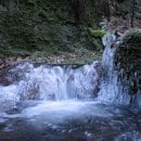 Bildautor: M. Wetzel