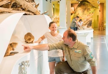 Buche, Biber, Hirsch &amp; Co. – Winter im Nationalpark-Zentrum Eifel