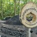 „Connected by Nature“: Nationalpark Eifel feiert Europäischen Tag der Parke beim Meilerfest in Düttling